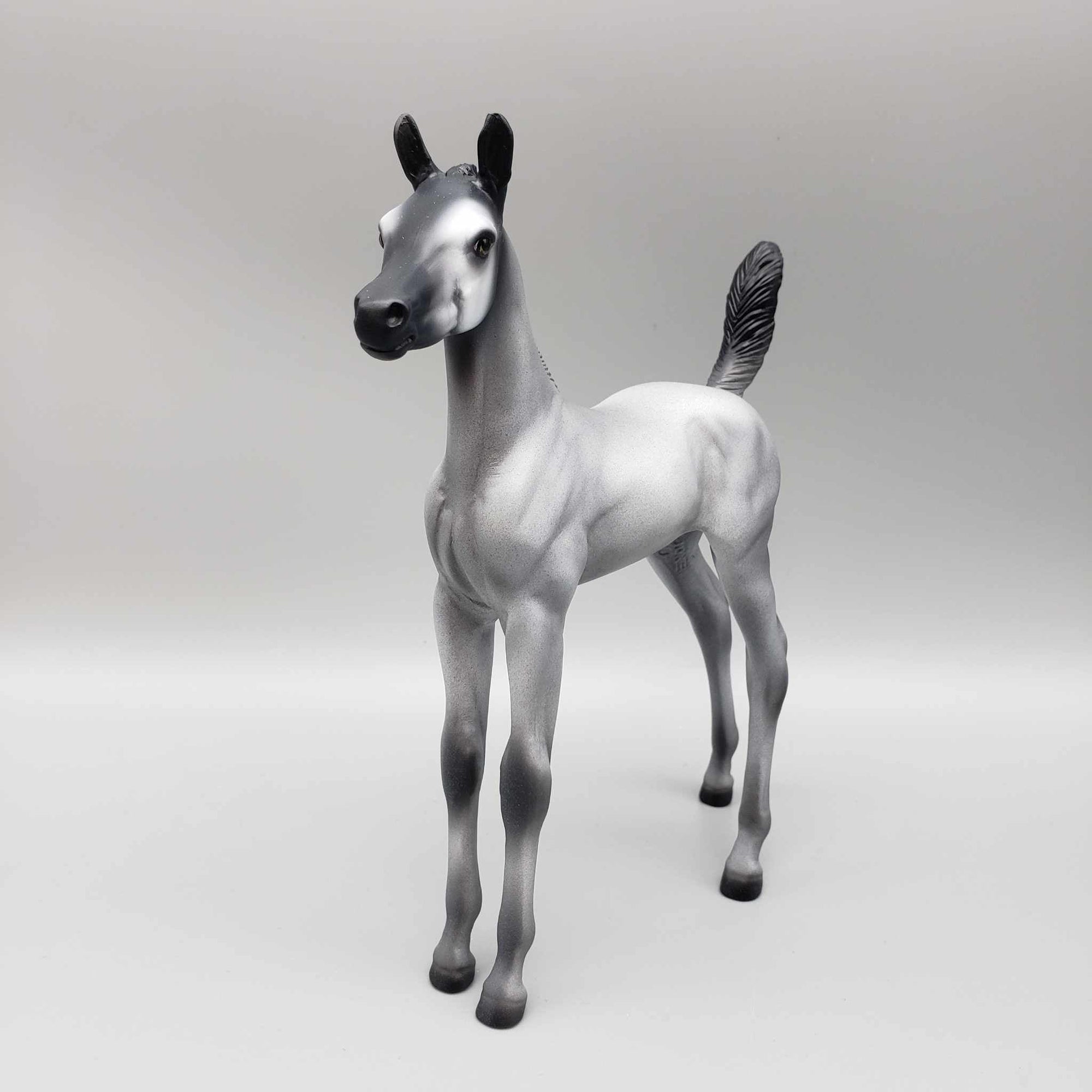 Creche OOAK Realistic/Deco Baby Penguin Arab Foal By Jess Hamill HS23