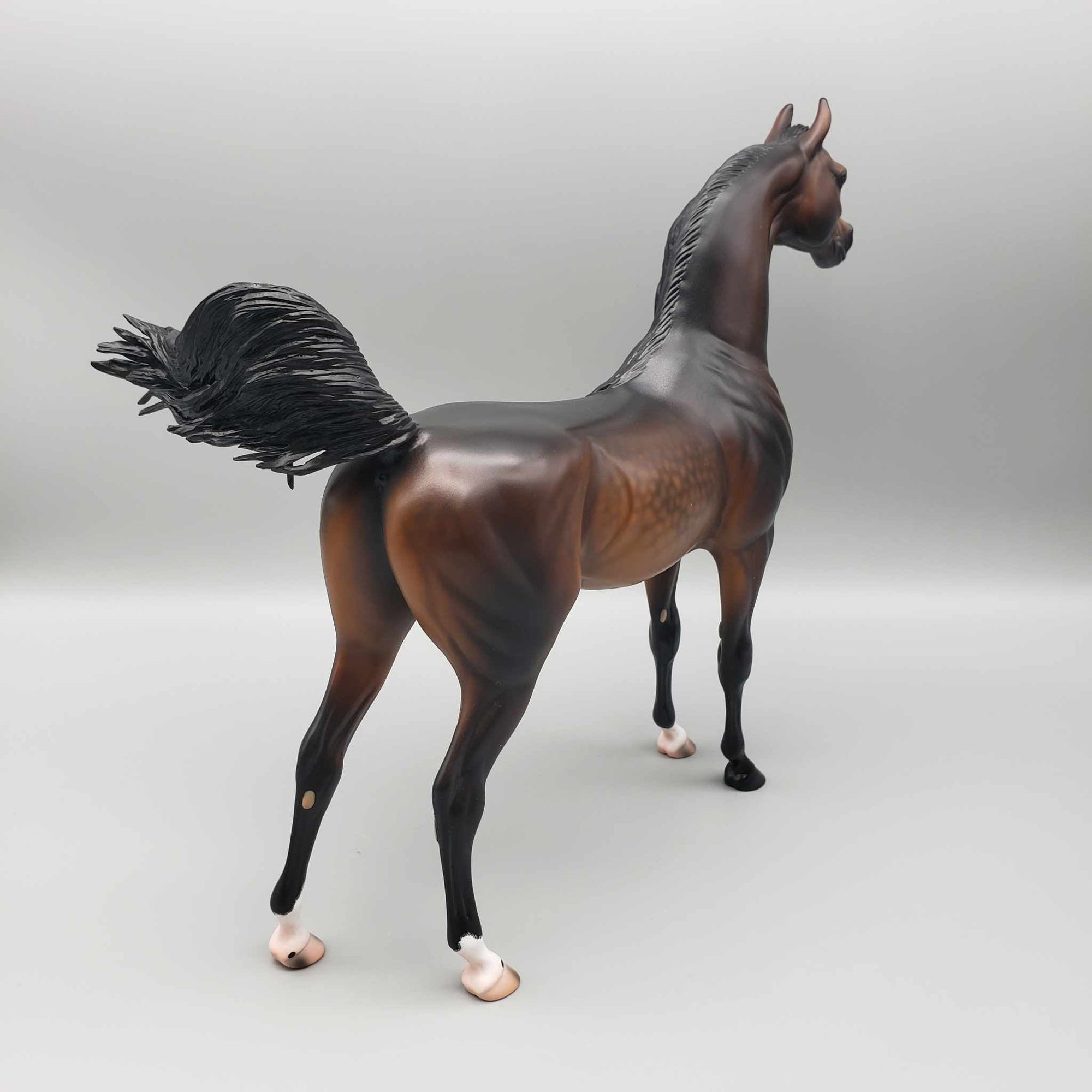 Hughes OOAK Dappled Bay Arabian By Caroline Boydston Best Offer 11/6/23