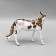 Cameo OOAK Custom Mule Chip by Andrea Thomason Fall Facebook Auction 9/23