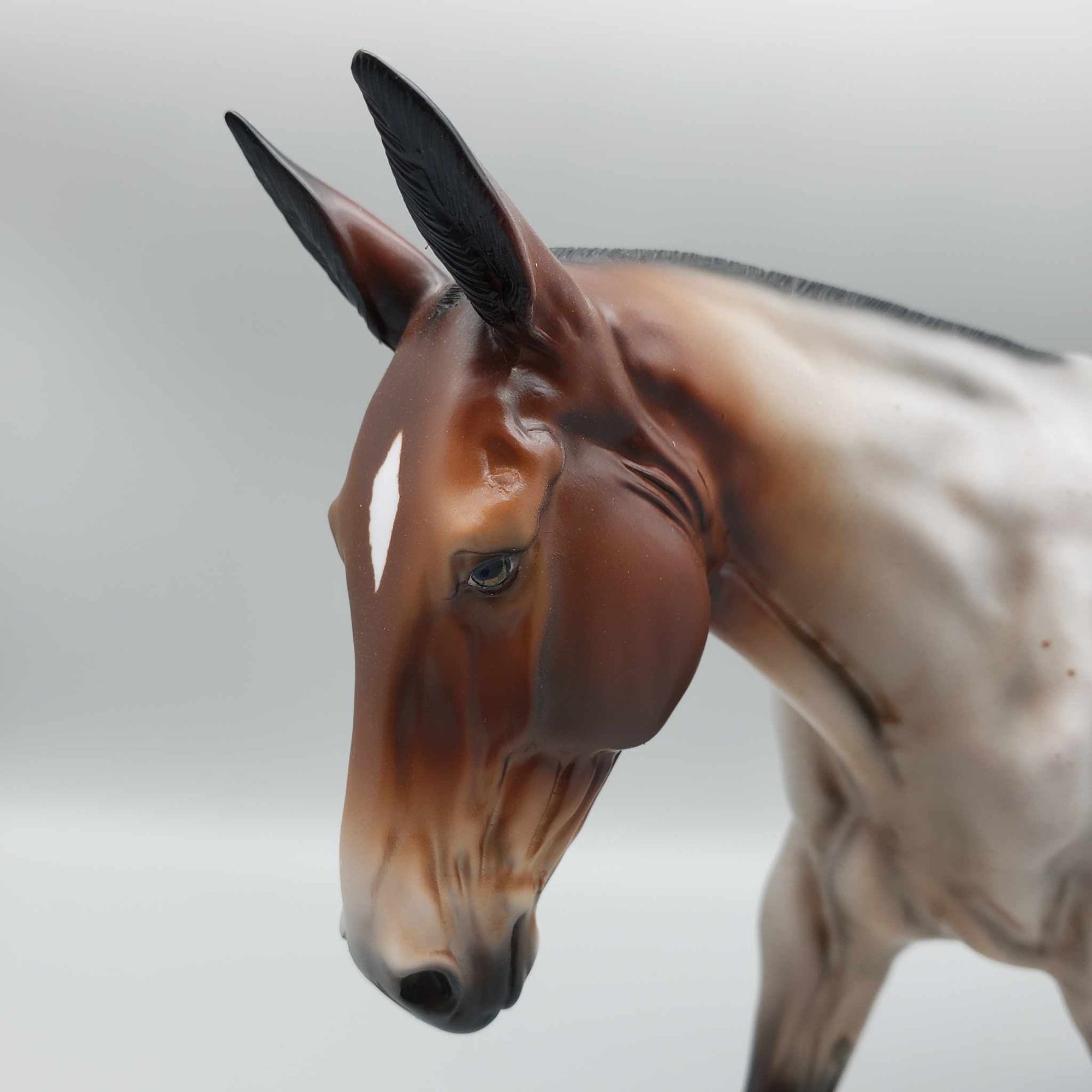 Piccadilly OOAK Bay Roan Mule By Angela Marleau Fall Into Autumn Random Drop Sale 9/23