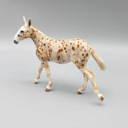 Gold Rush OOAK Custom Mule Chip by Andrea Thomason Fall Facebook Auction 9/23