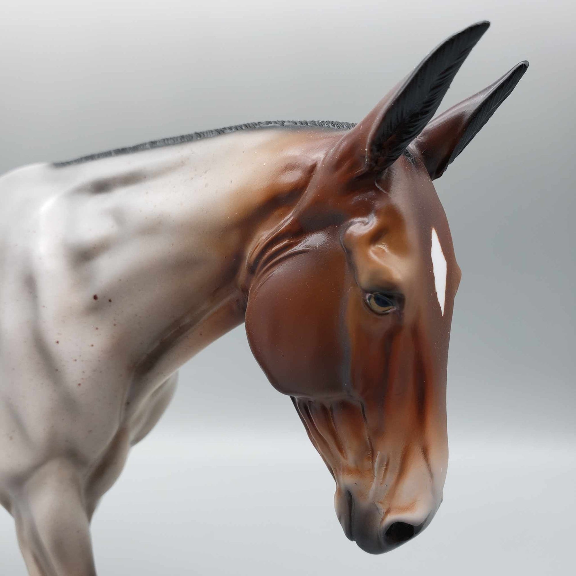 Piccadilly OOAK Bay Roan Mule By Angela Marleau Fall Into Autumn Random Drop Sale 9/23