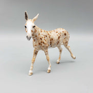 Gold Rush OOAK Custom Mule Chip by Andrea Thomason Fall Facebook Auction 9/23
