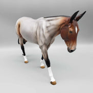 Piccadilly OOAK Bay Roan Mule By Angela Marleau Fall Into Autumn Random Drop Sale 9/23