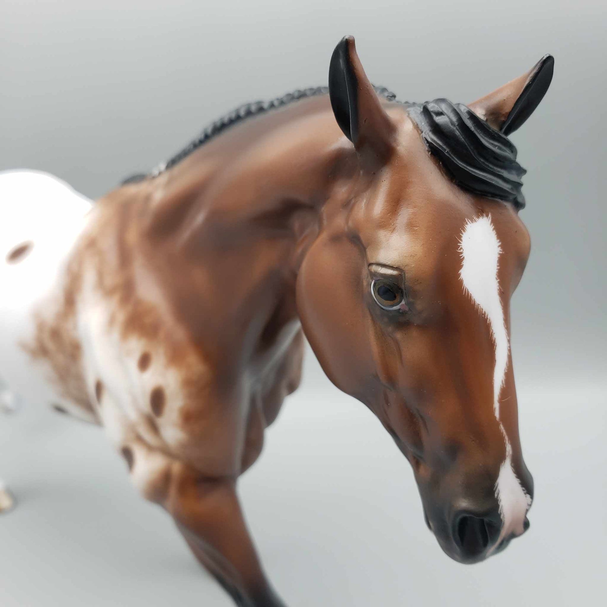 Roana OOAK Appaloosa Running Stock Horse By Sheryl Leisure Best Offers 9/25/23