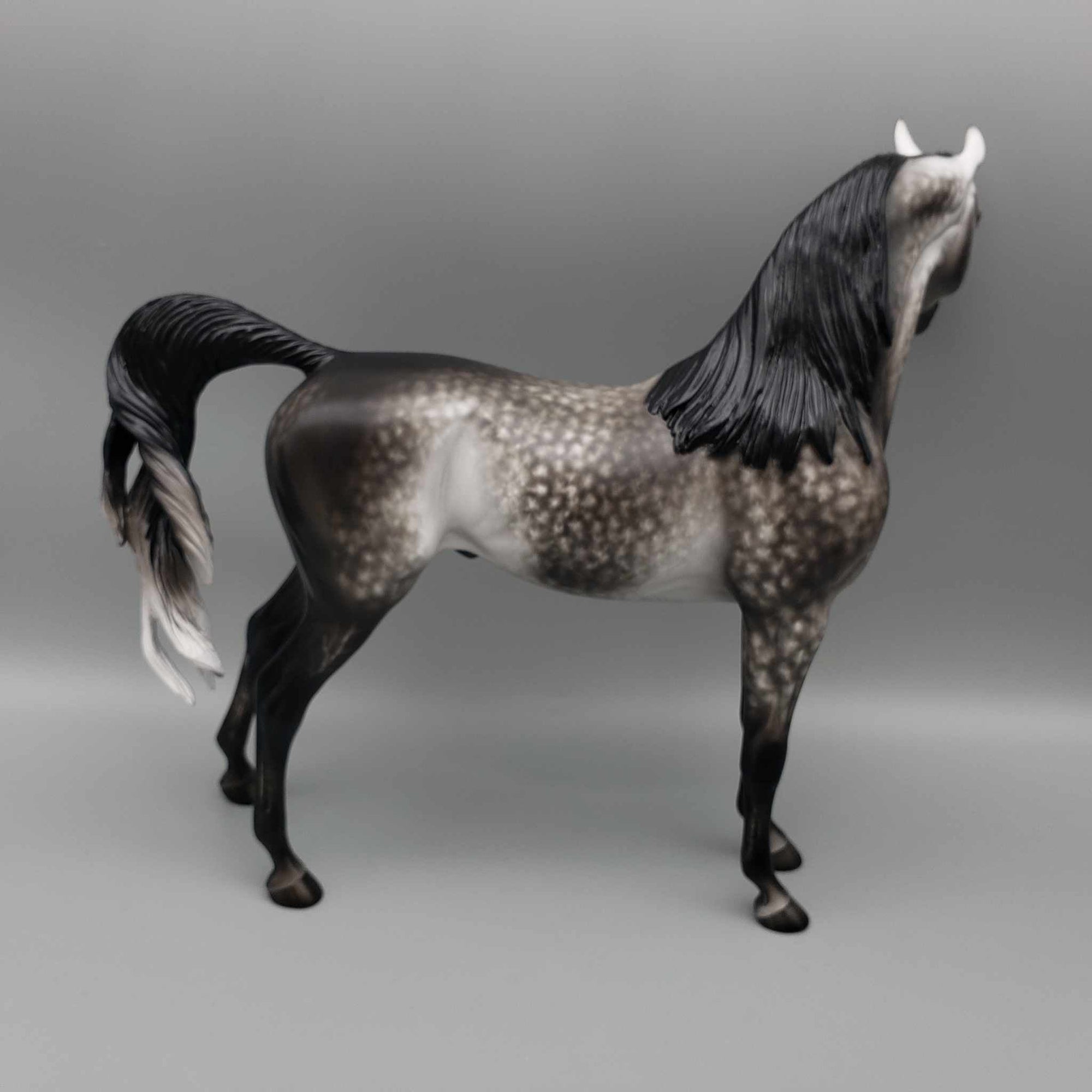 Tungsten OOAK Dark Grey Dappled Arabian Stallion By Sheryl Leisure Best Offers 9/25/23