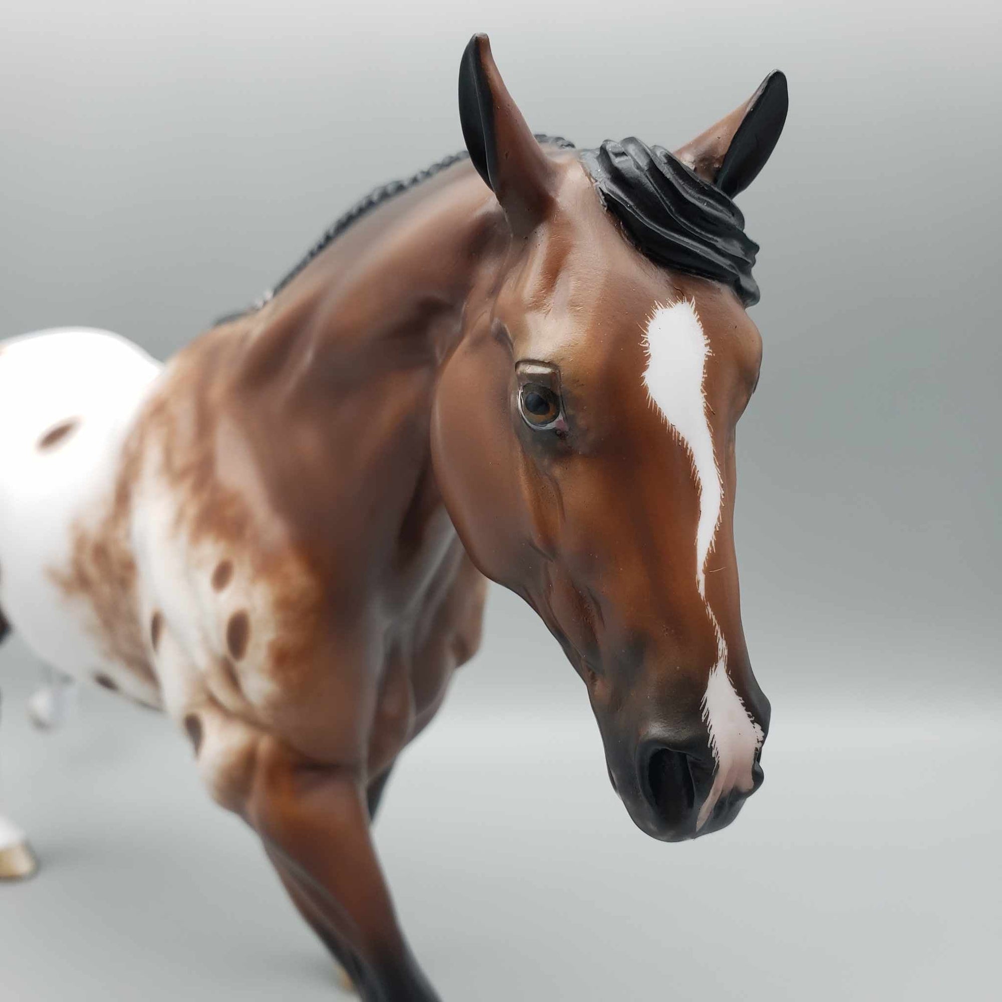 Roana OOAK Appaloosa Running Stock Horse By Sheryl Leisure Best Offers 9/25/23