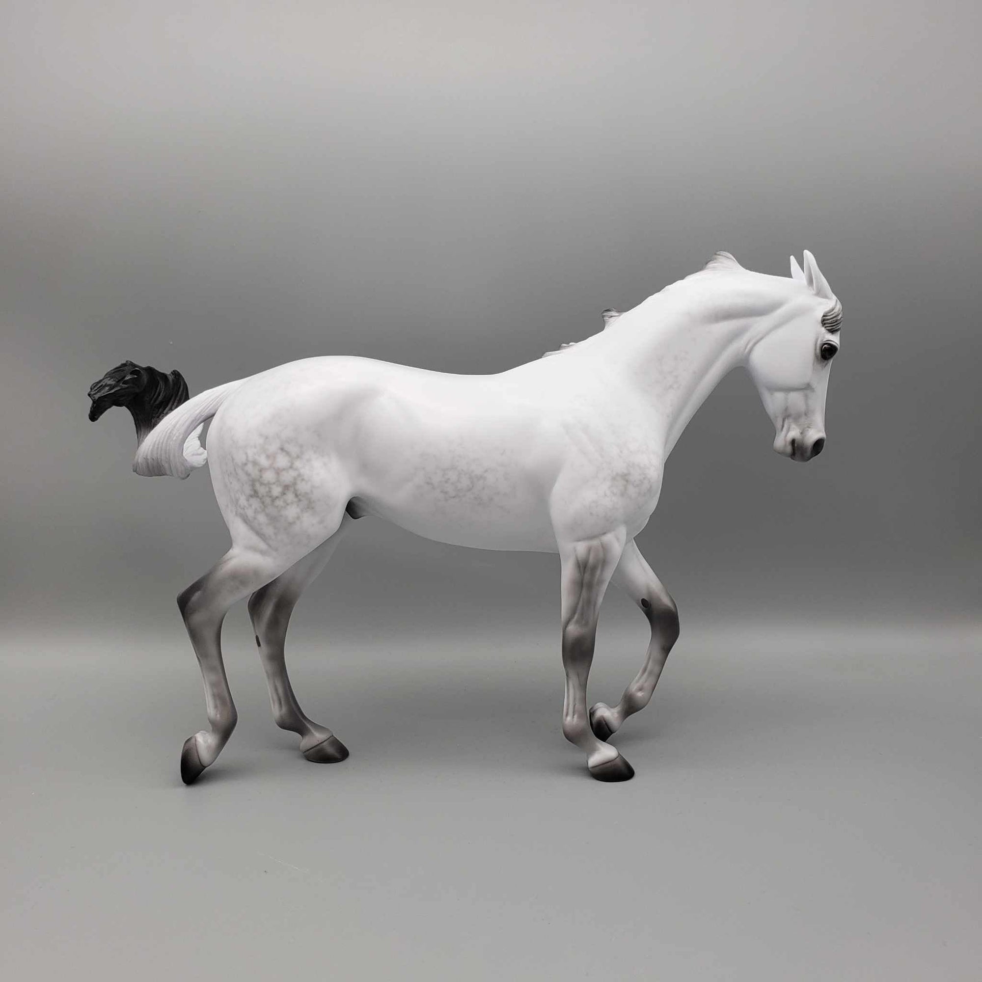 Moonlight Becomes Ye OOAK Dapple Grey Pinned Ear Thoroughbred Fall Facebook Auction 9/23