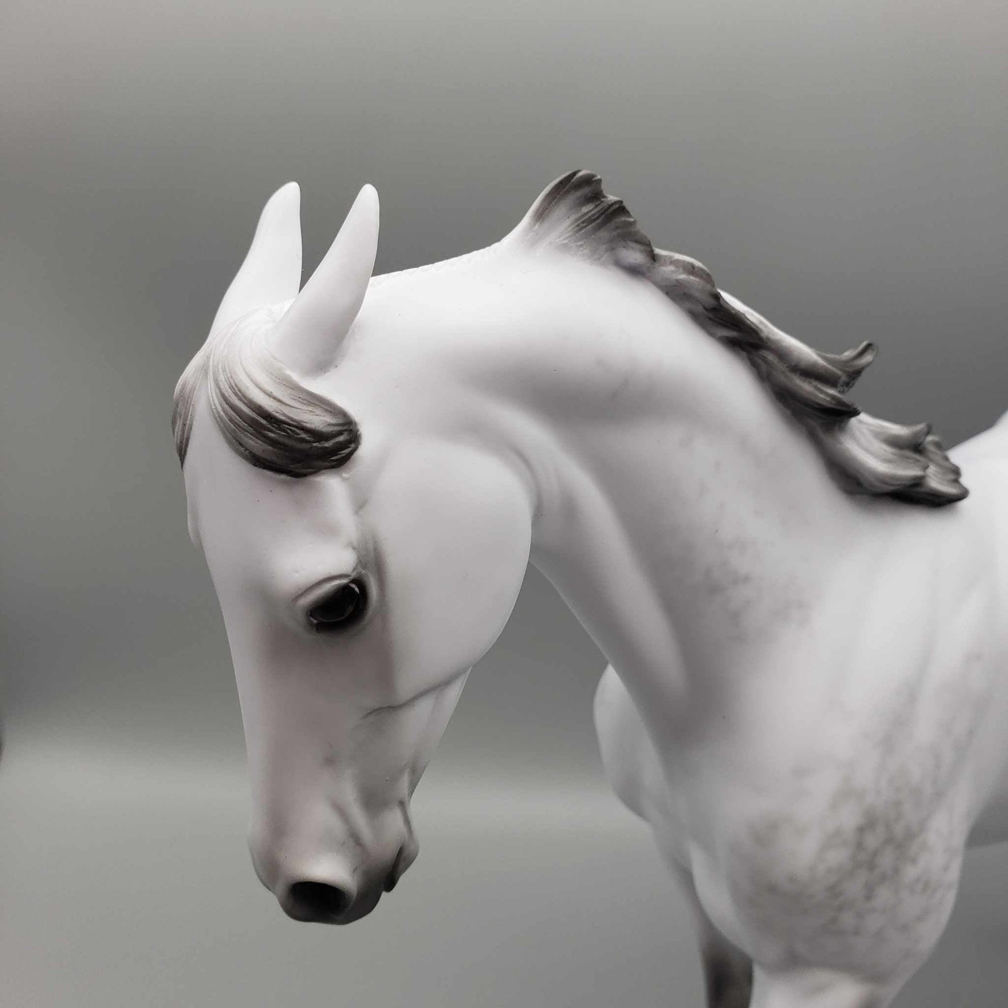 Moonlight Becomes Ye OOAK Dapple Grey Pinned Ear Thoroughbred Fall Facebook Auction 9/23