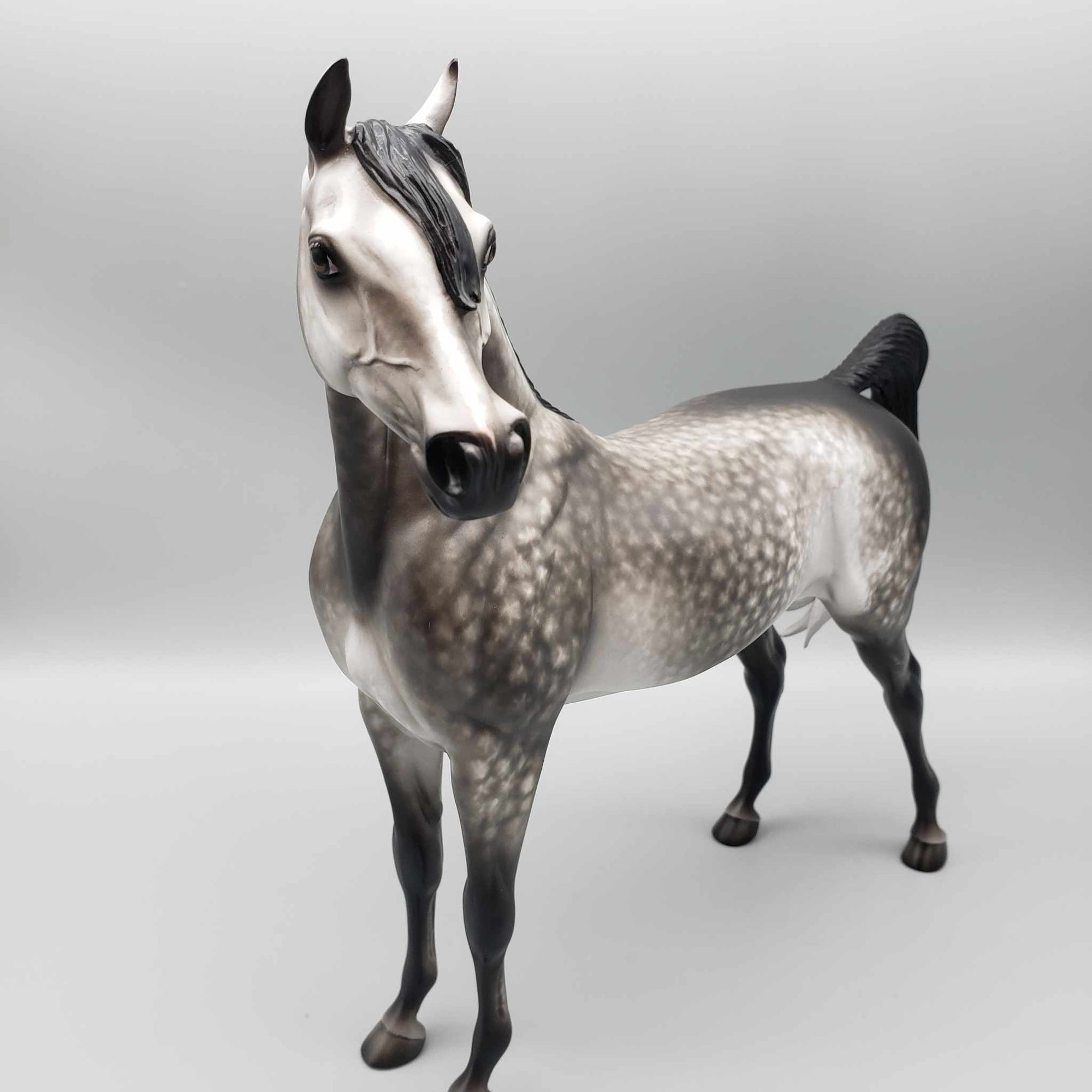 Tungsten OOAK Dark Grey Dappled Arabian Stallion By Sheryl Leisure Best Offers 9/25/23