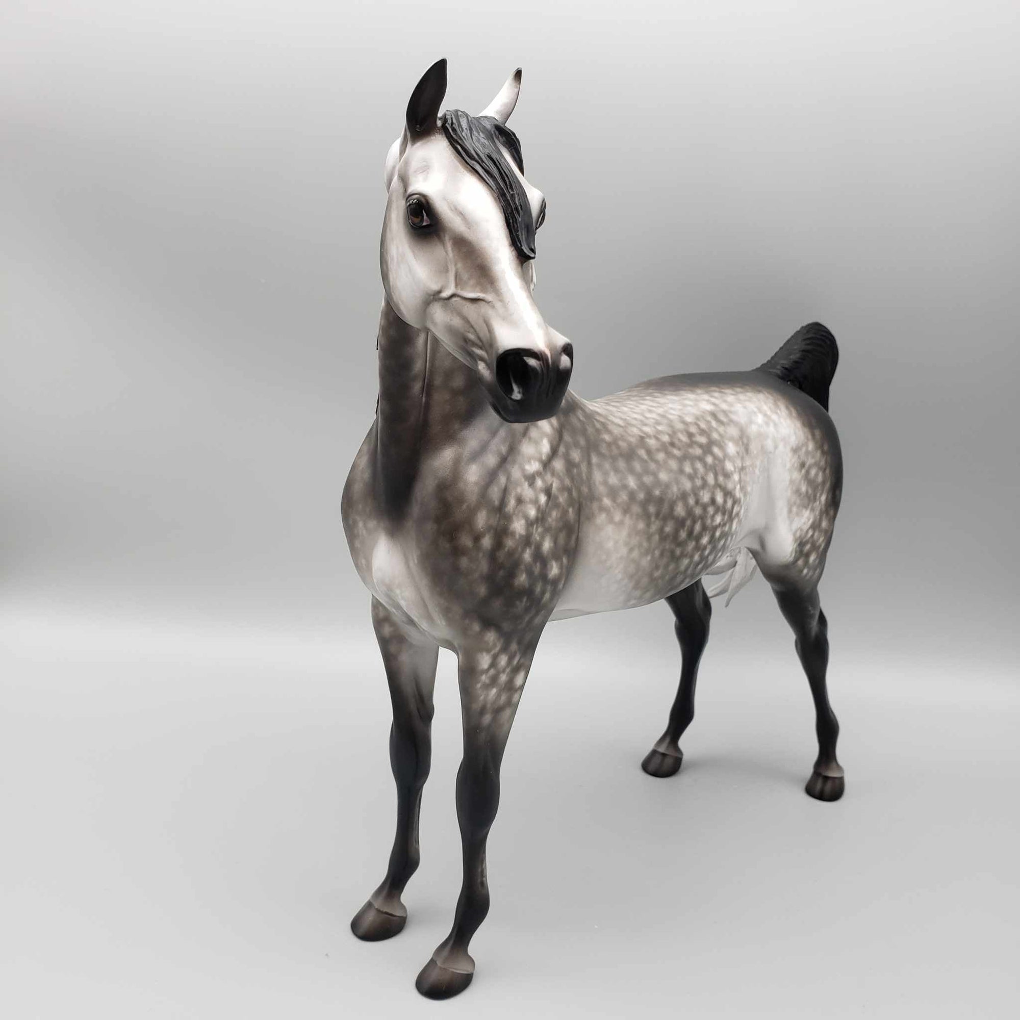 Tungsten OOAK Dark Grey Dappled Arabian Stallion By Sheryl Leisure Best Offers 9/25/23
