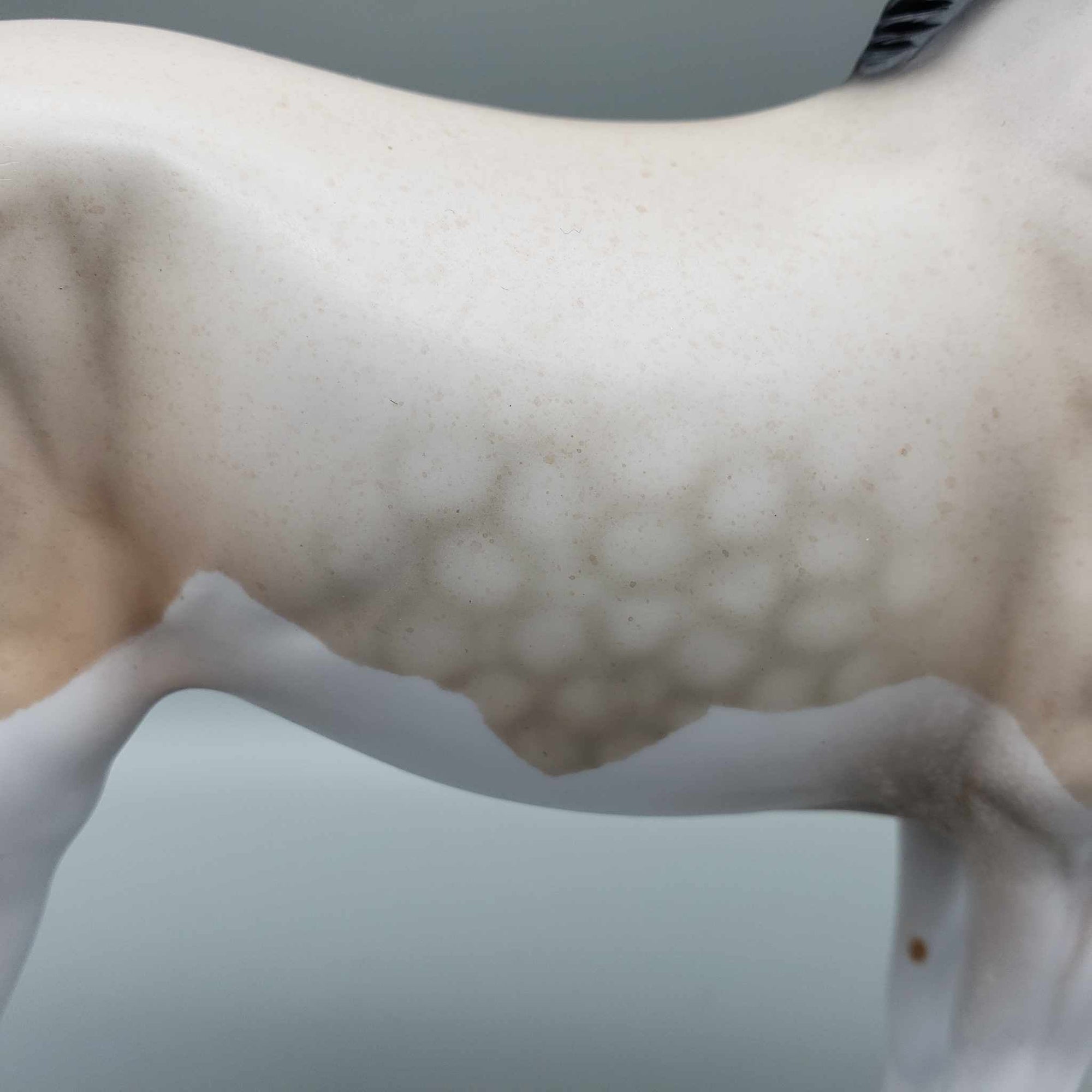 Pihake OOAK  Splash Bay Roan Andalusian by Angela Marleau Fall Into Autumn Random Drop Sale 9/23