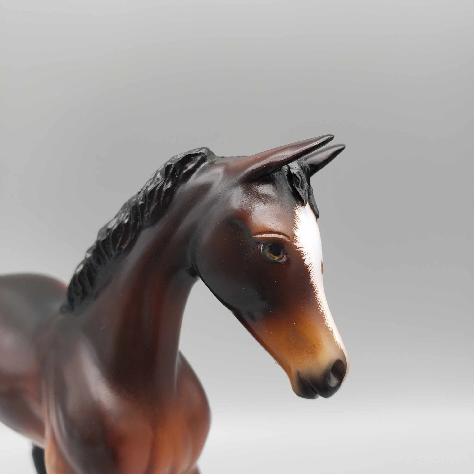 Croissant OOAK Dappled Seal Bay Arab Foal By Angela Marleau Best Offers 9/25/23