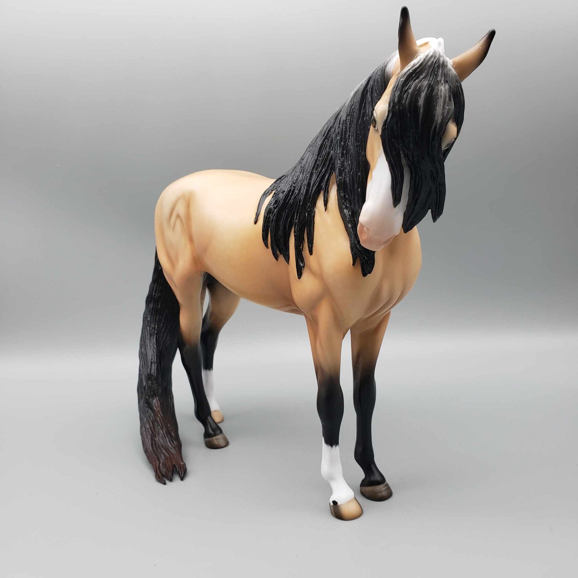 Budd OOAK Buckskin Andalusian By Angela Marleau Best Offers 9/25/23