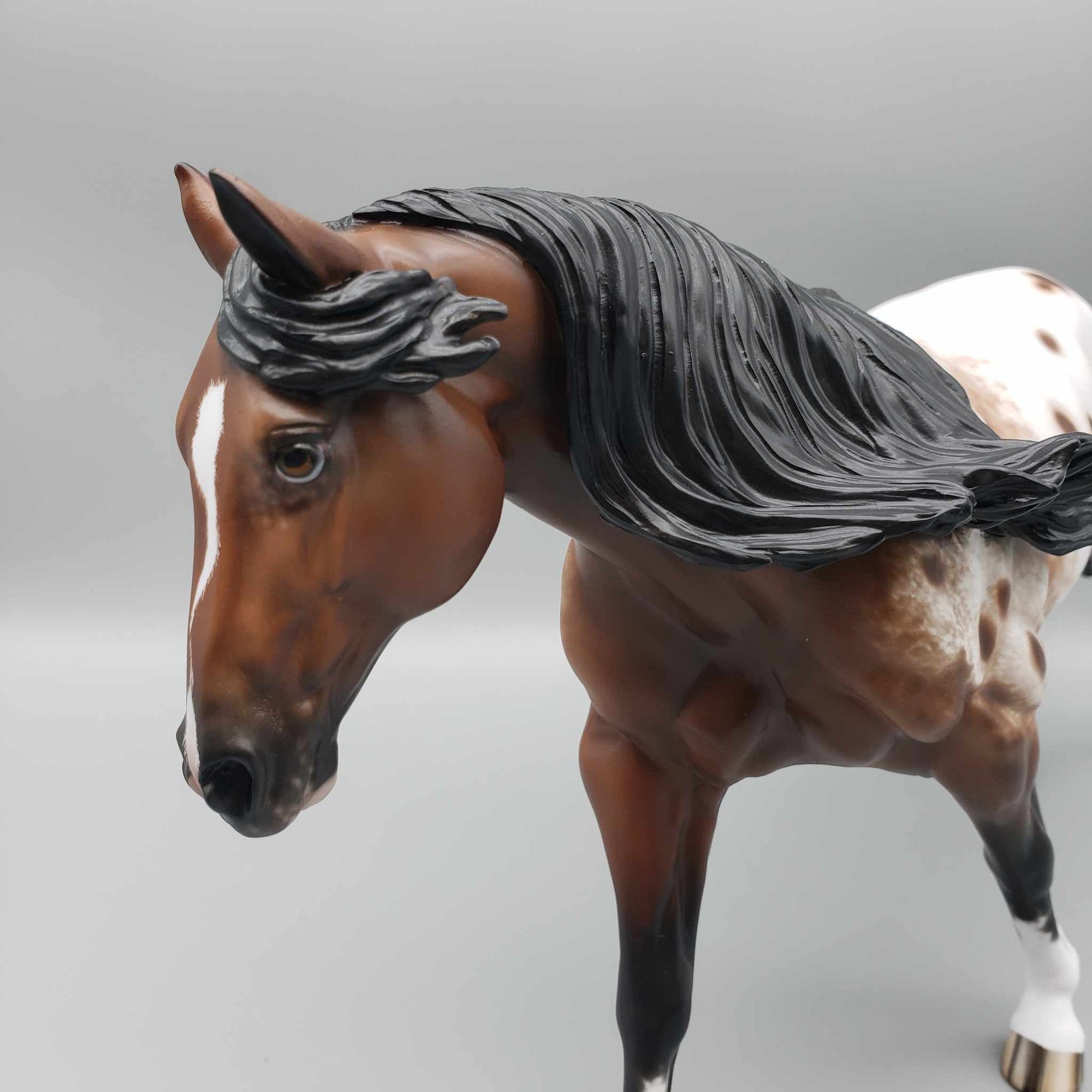 Roana OOAK Appaloosa Running Stock Horse By Sheryl Leisure Best Offers 9/25/23