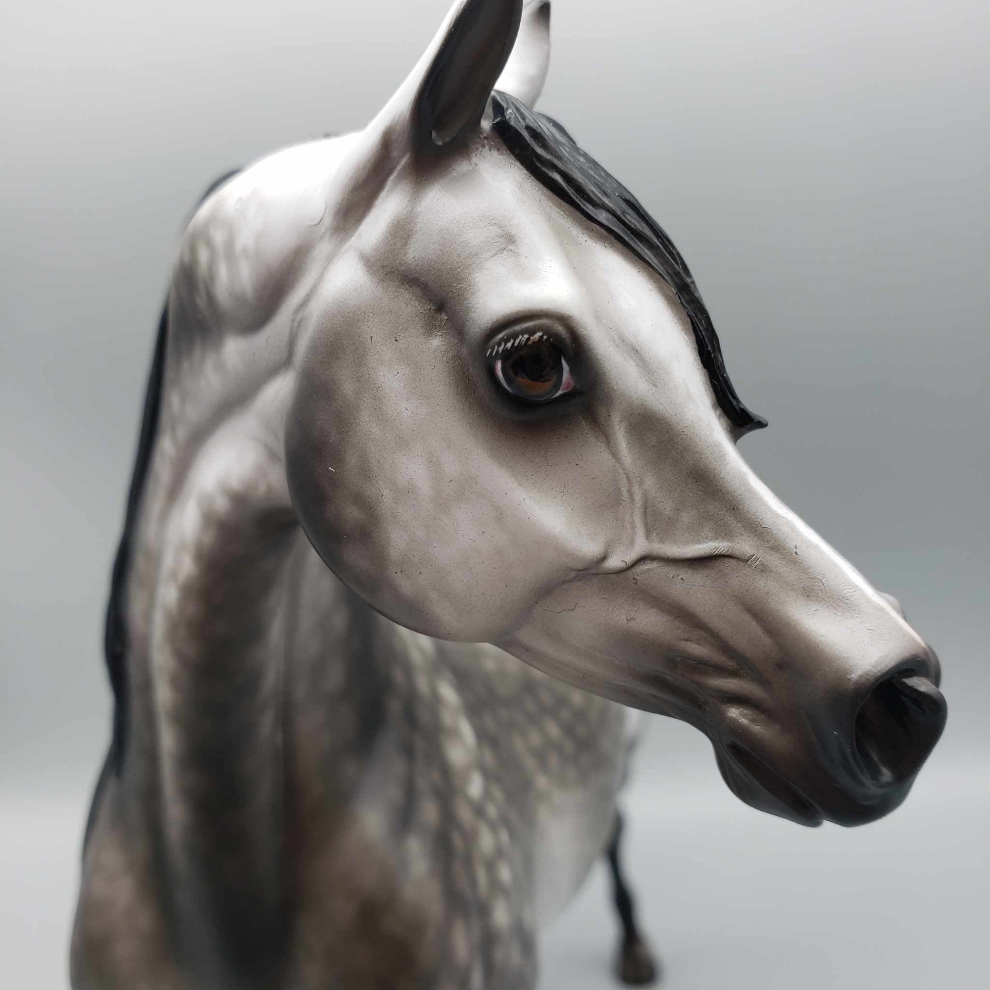 Tungsten OOAK Dark Grey Dappled Arabian Stallion By Sheryl Leisure Best Offers 9/25/23