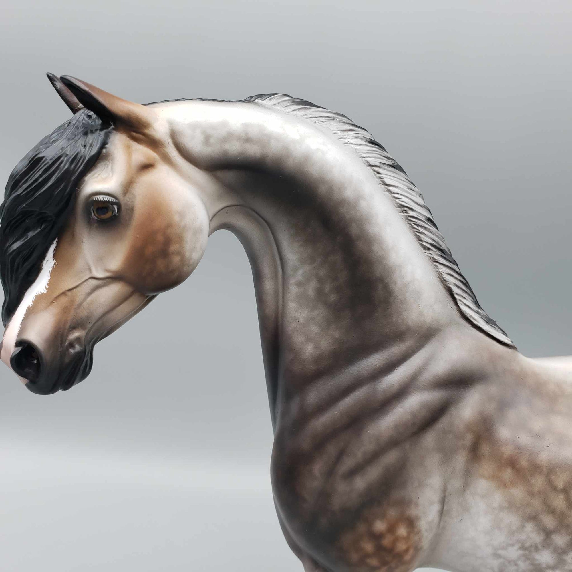 Zephyr OOAK Bay Going Grey Arabian By Sheryl Leisure Best Offers 9/25/23