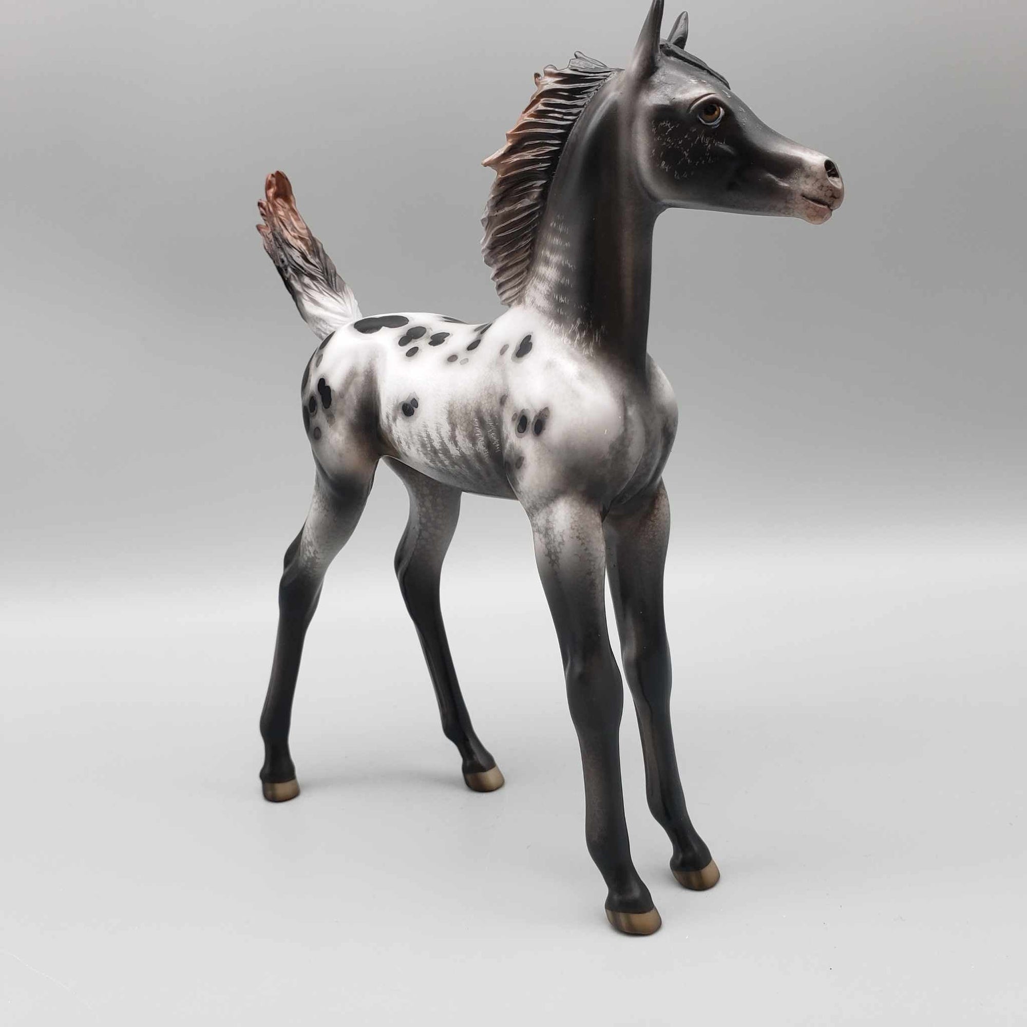 Subie OOAK Black Appaloosa Arab Foal By Jess Hamill Best Offers 9/25/23