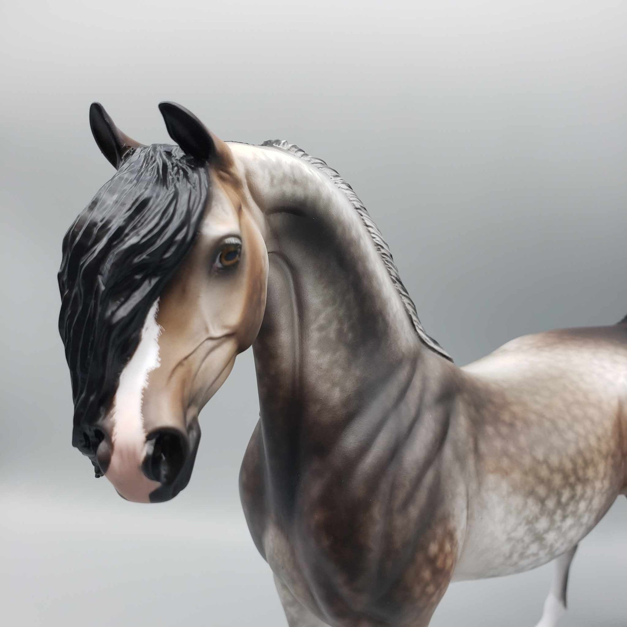 Zephyr OOAK Bay Going Grey Arabian By Sheryl Leisure Best Offers 9/25/23