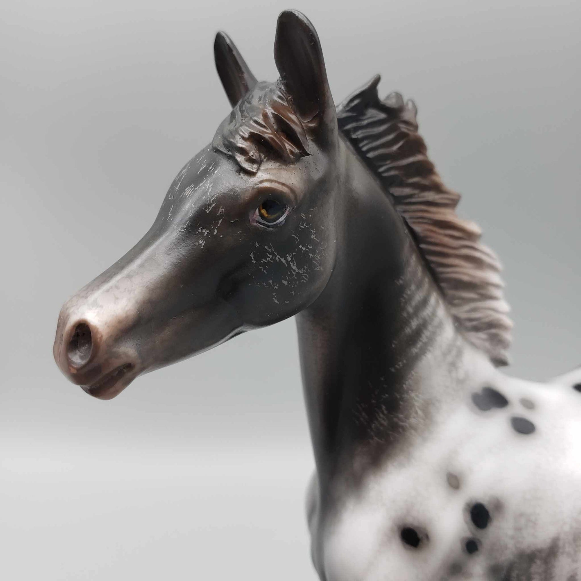 Subie OOAK Black Appaloosa Arab Foal By Jess Hamill Best Offers 9/25/23