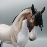 Pihake OOAK  Splash Bay Roan Andalusian by Angela Marleau Fall Into Autumn Random Drop Sale 9/23