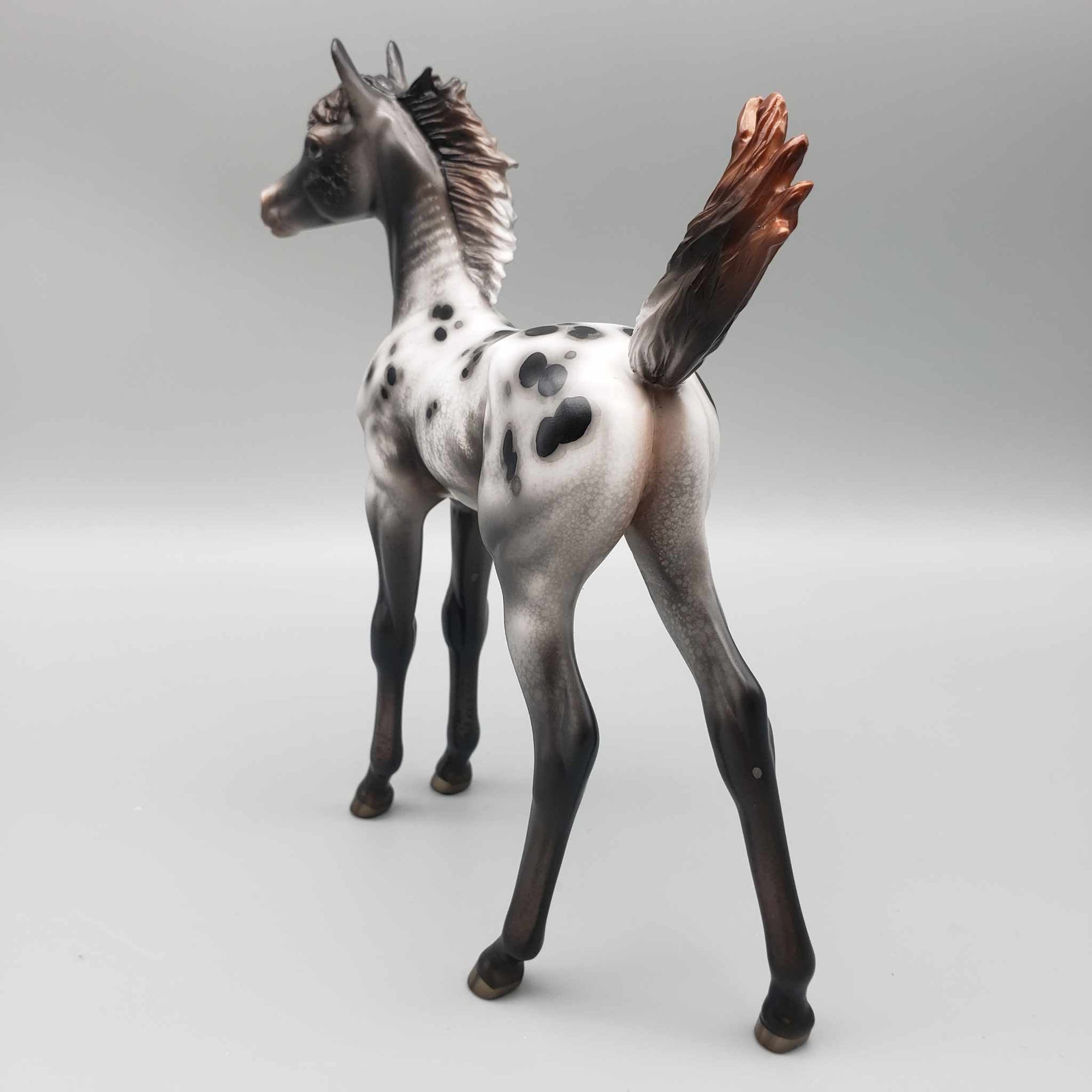 Subie OOAK Black Appaloosa Arab Foal By Jess Hamill Best Offers 9/25/23