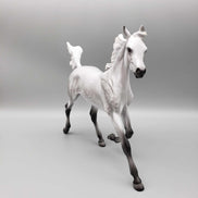 Cloud OOAK Dapple Grey Yearling By Angela Marleau Fall Into Autumn Random Drop Sale 9/23