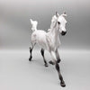 Cloud OOAK Dapple Grey Yearling By Angela Marleau Fall Into Autumn Random Drop Sale 9/23