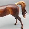 Autumnal OOAK Dappled Chestnut Arabian By Sheryl Leisure Best Offers 9/25/23