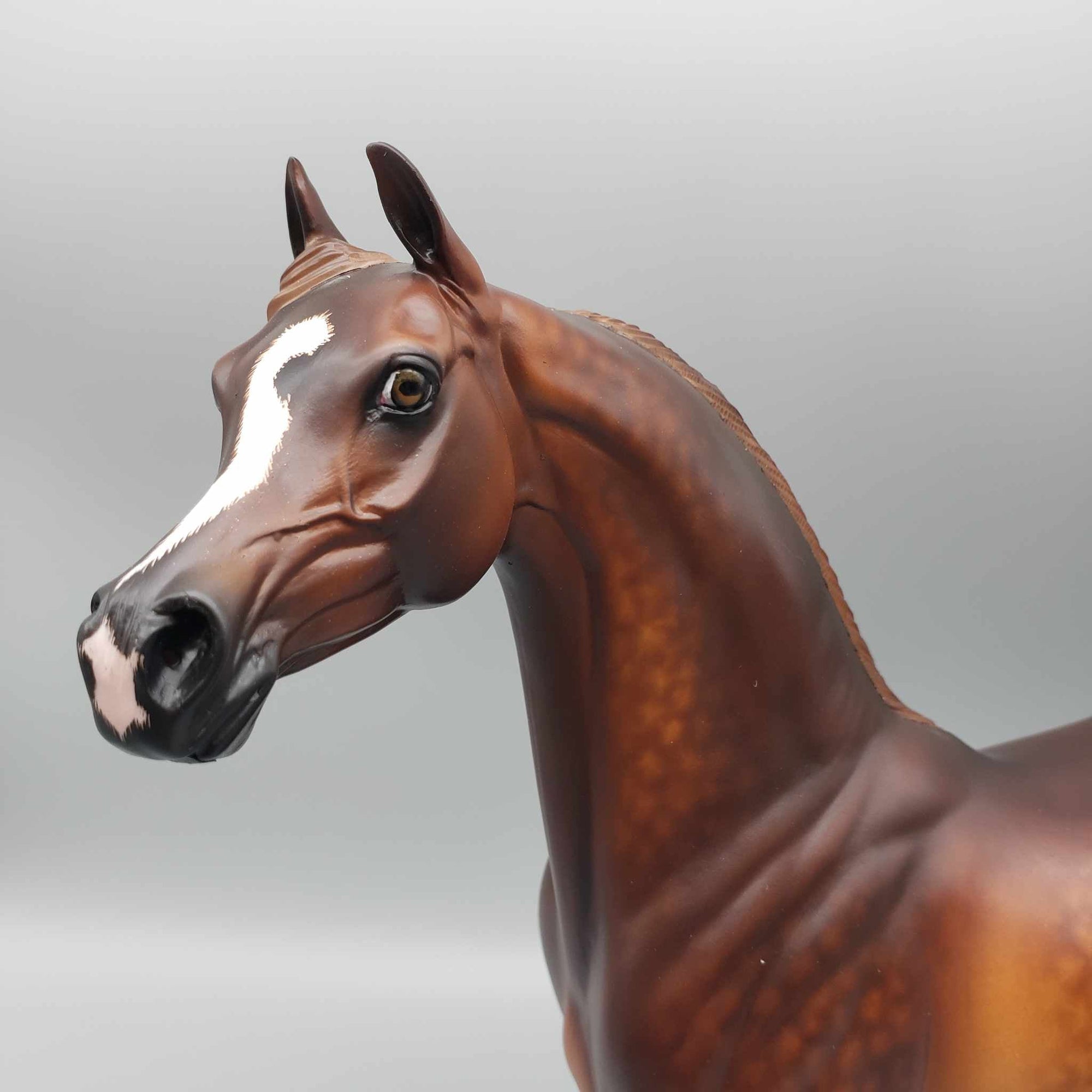 Autumnal OOAK Dappled Chestnut Arabian By Sheryl Leisure Best Offers 9/25/23