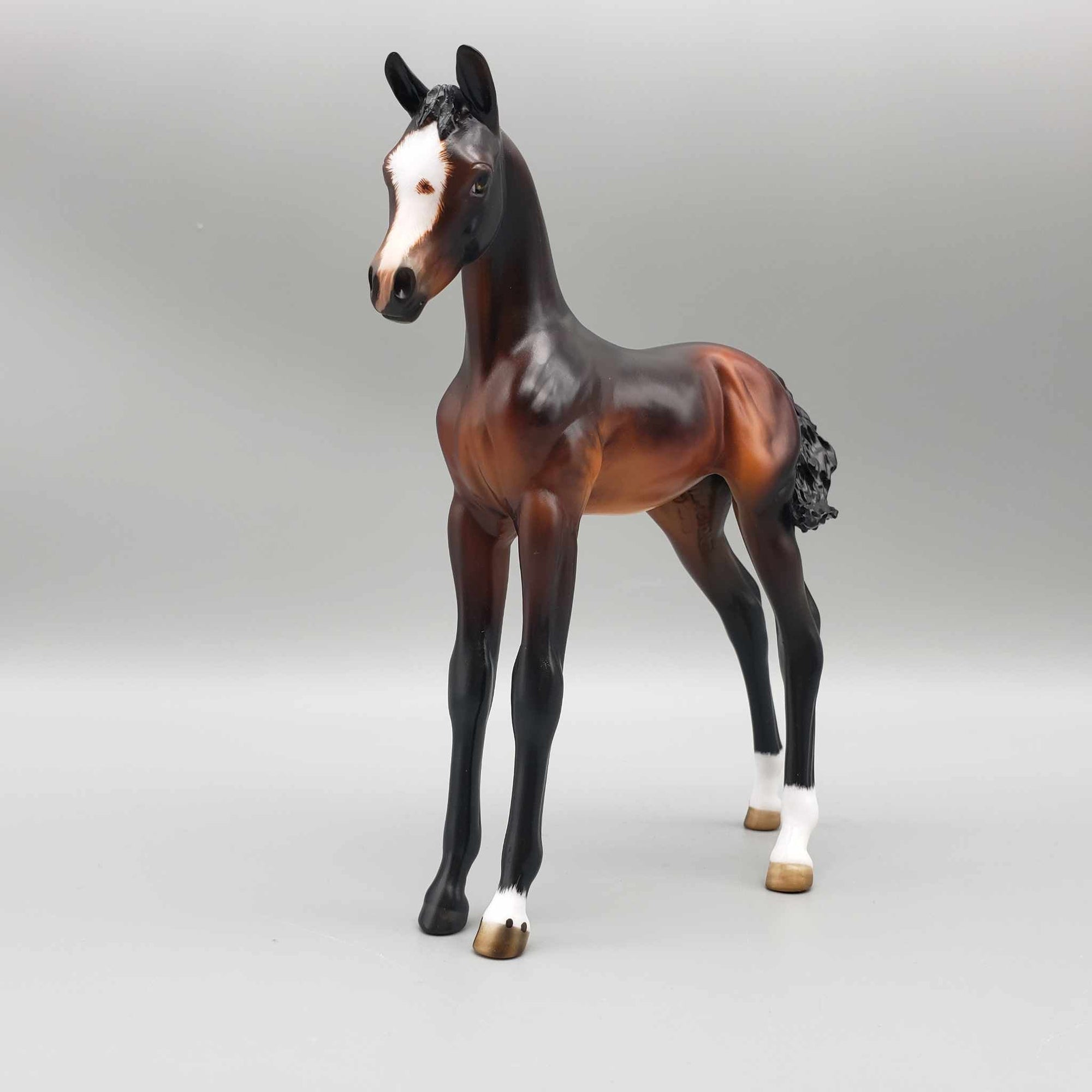 Croissant OOAK Dappled Seal Bay Arab Foal By Angela Marleau Best Offers 9/25/23