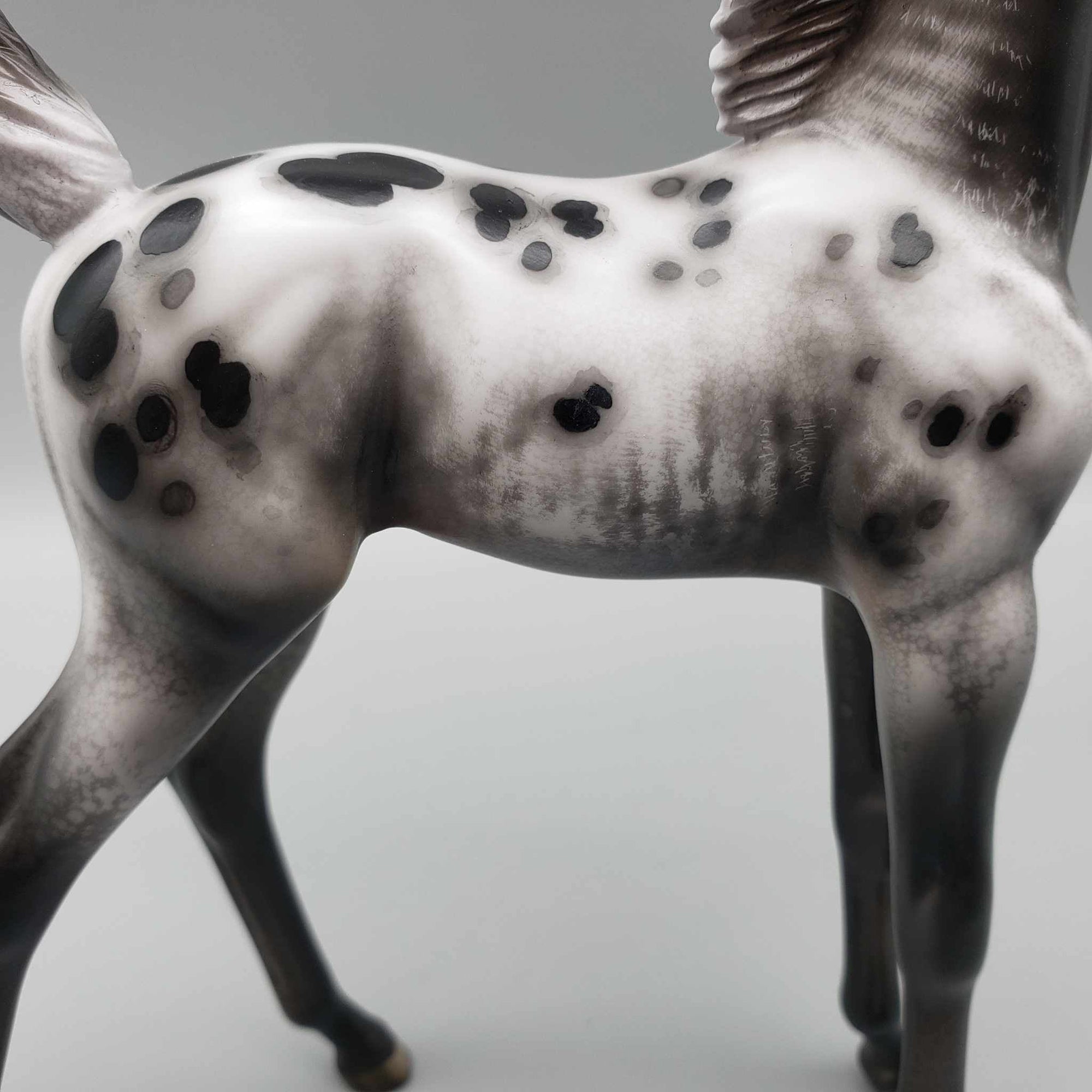 Subie OOAK Black Appaloosa Arab Foal By Jess Hamill Best Offers 9/25/23