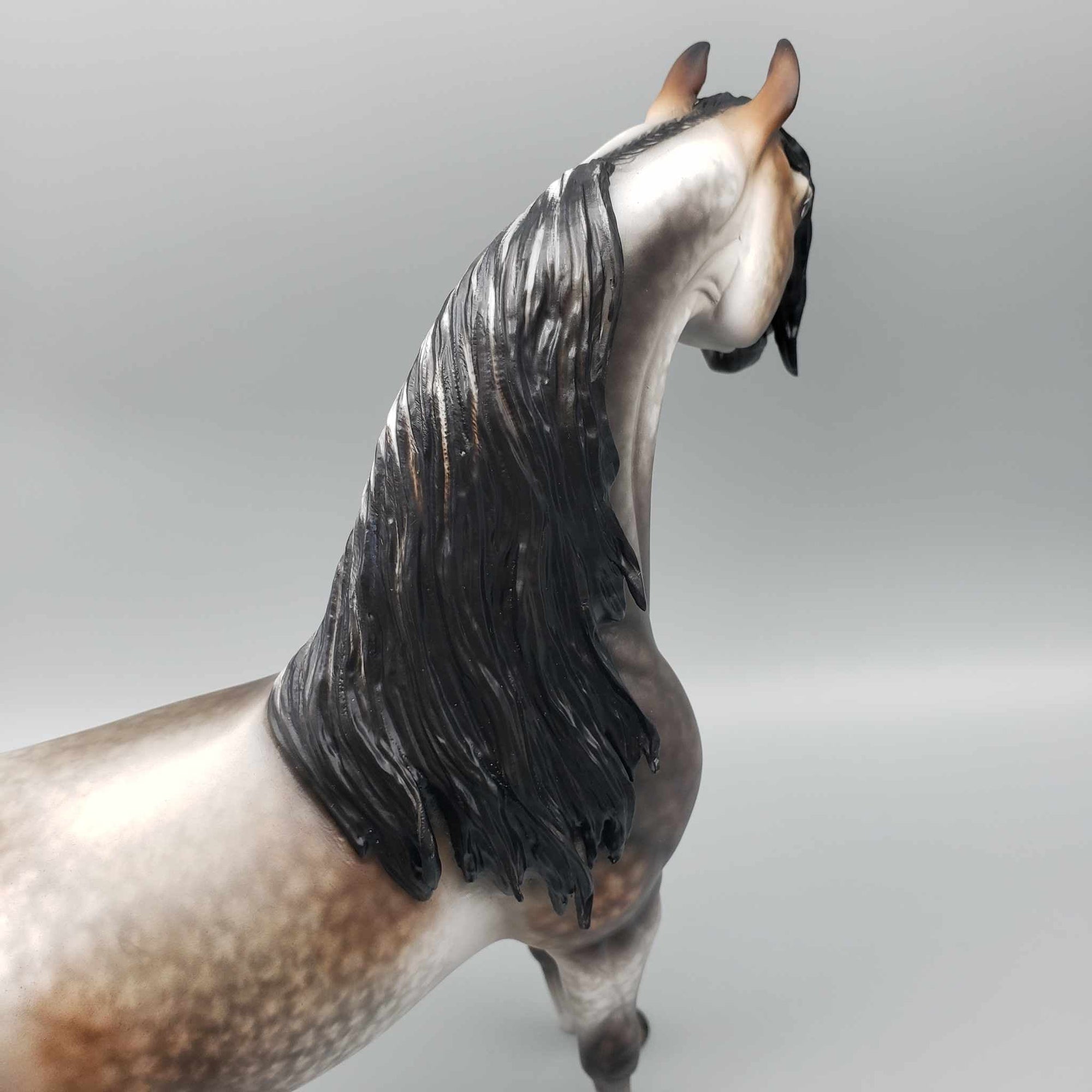 Zephyr OOAK Bay Going Grey Arabian By Sheryl Leisure Best Offers 9/25/23