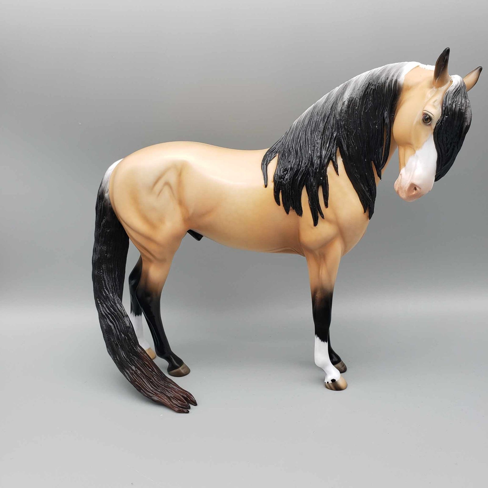 Budd OOAK Buckskin Andalusian By Angela Marleau Best Offers 9/25/23