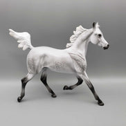 Cloud OOAK Dapple Grey Yearling By Angela Marleau Fall Into Autumn Random Drop Sale 9/23