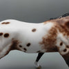 Roana OOAK Appaloosa Running Stock Horse By Sheryl Leisure Best Offers 9/25/23