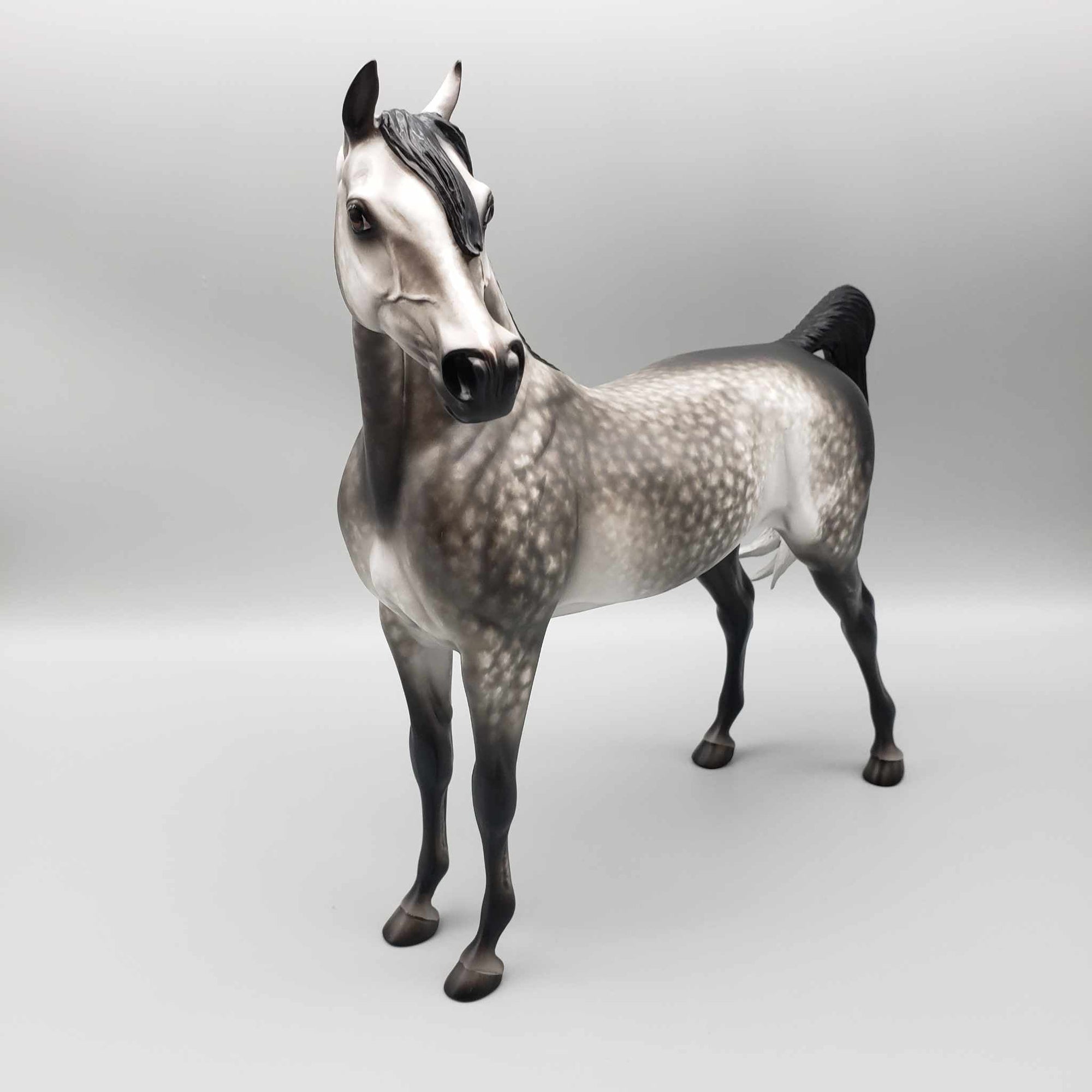Tungsten OOAK Dark Grey Dappled Arabian Stallion By Sheryl Leisure Best Offers 9/25/23