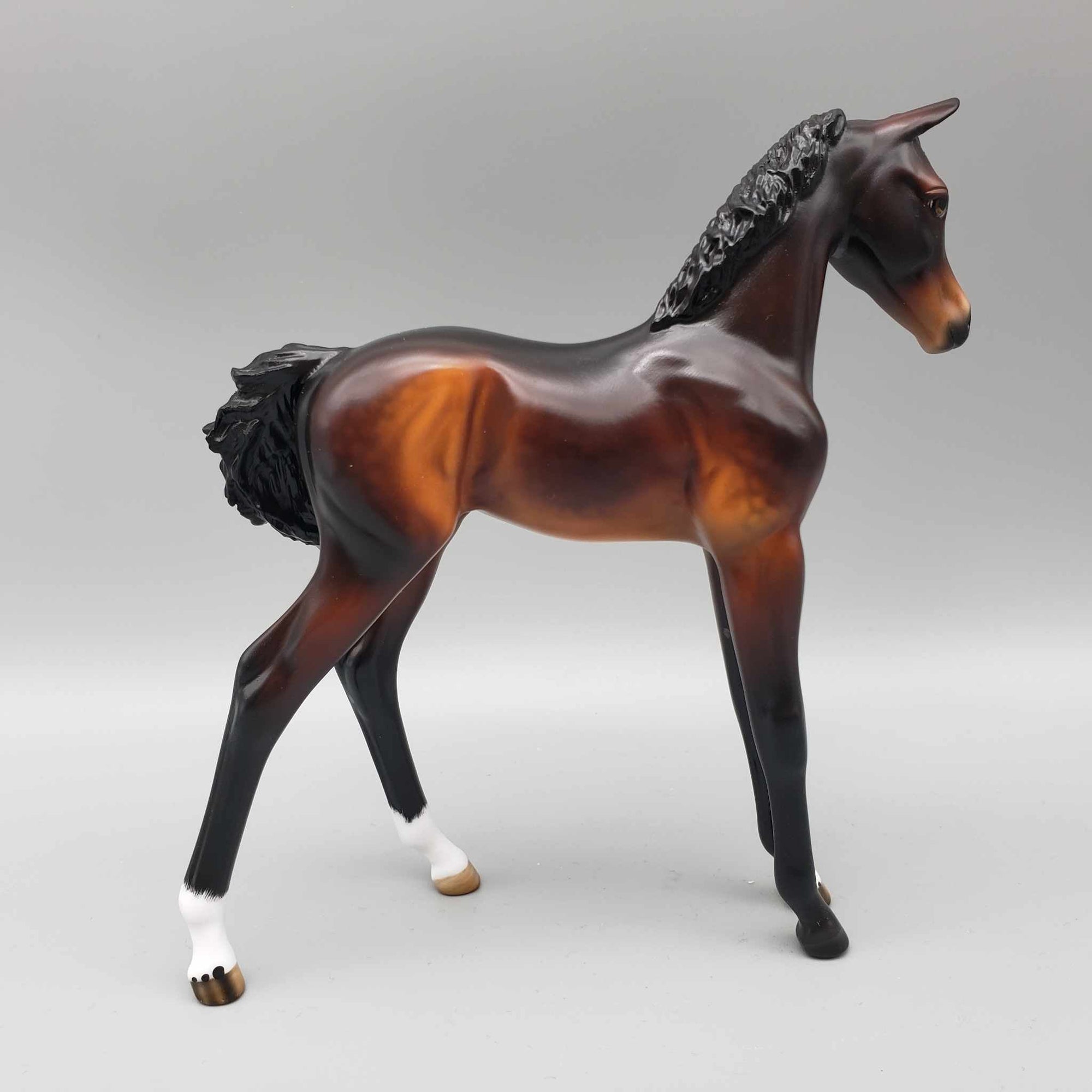 Croissant OOAK Dappled Seal Bay Arab Foal By Angela Marleau Best Offers 9/25/23