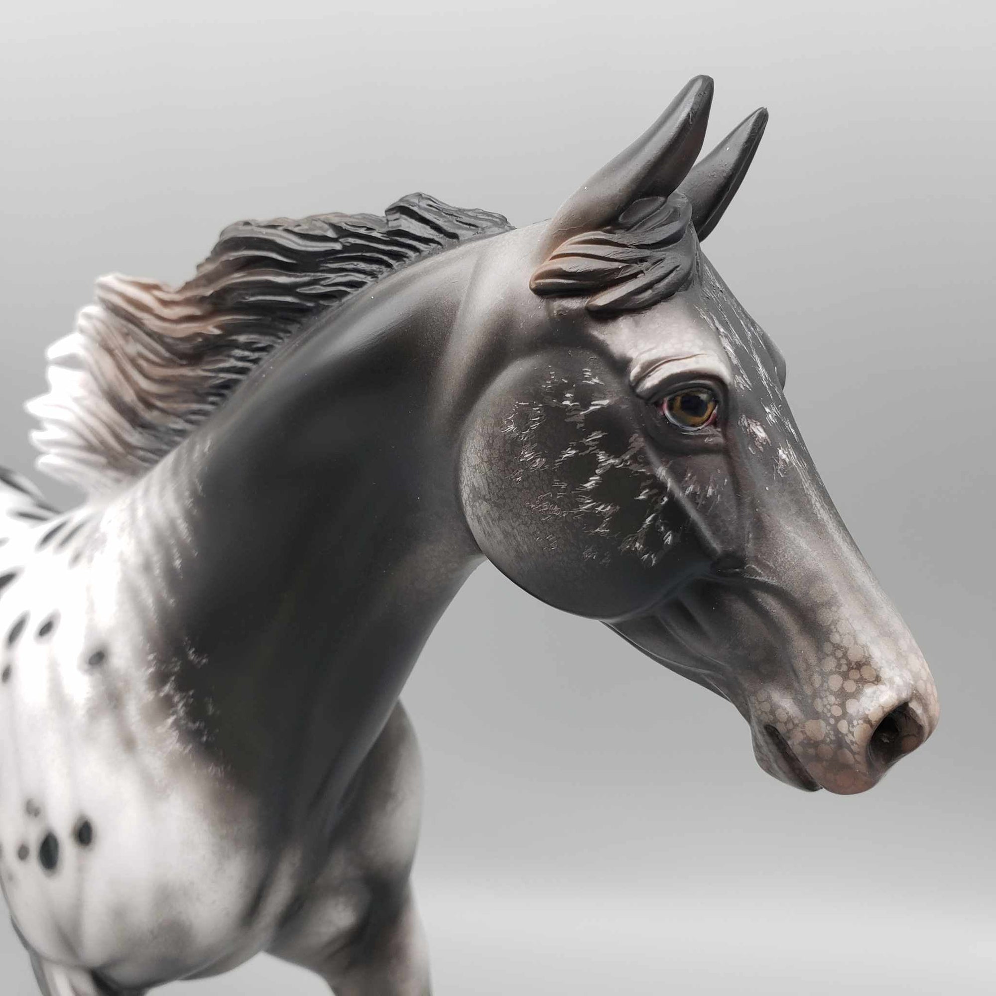 Subaru OOAK Black Appaloosa Palouse By Jess Hamill Best Offers 9/25/23