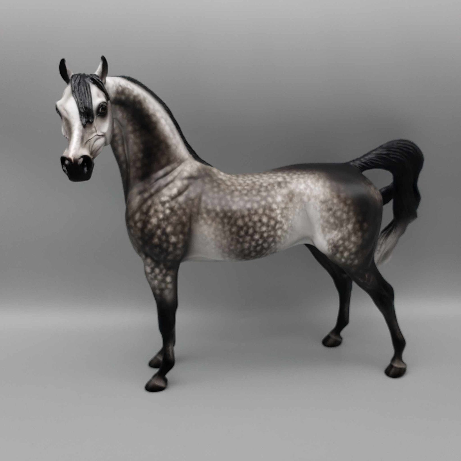 Tungsten OOAK Dark Grey Dappled Arabian Stallion By Sheryl Leisure Best Offers 9/25/23