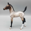 Rosie OOAK Bay Roan Arab Foal By Angela Marleau Fall Into Autumn Random Drop Sale 9/23