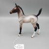 Rosie OOAK Bay Roan Arab Foal By Angela Marleau Fall Into Autumn Random Drop Sale 9/23