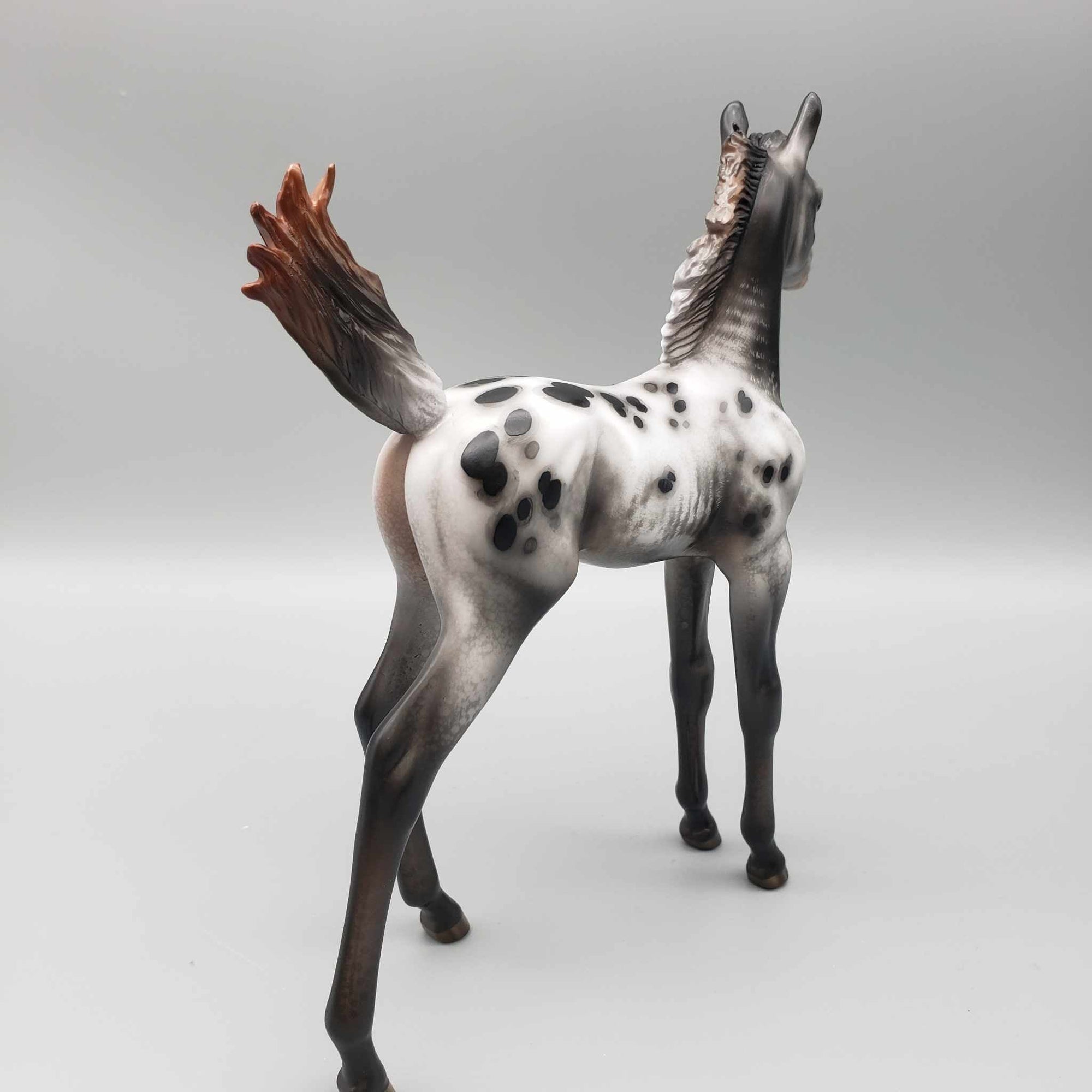Subie OOAK Black Appaloosa Arab Foal By Jess Hamill Best Offers 9/25/23