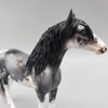 Archean OOAK Blue Roan Sabino Andalusian Chip by Jess Hamill  Facebook Auction Fall Into Autumn Random Drop Sale 9/23