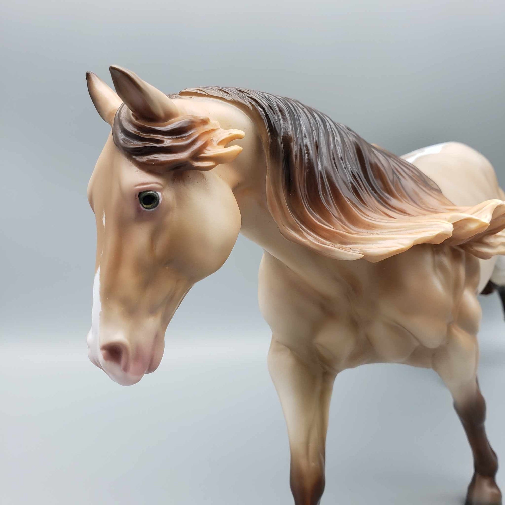 Amber Shimmer OOAK Amber Champagne Running Stock Horse MARE by Ashley Palmer Fall Into Autumn Random Drop Sale 9/23