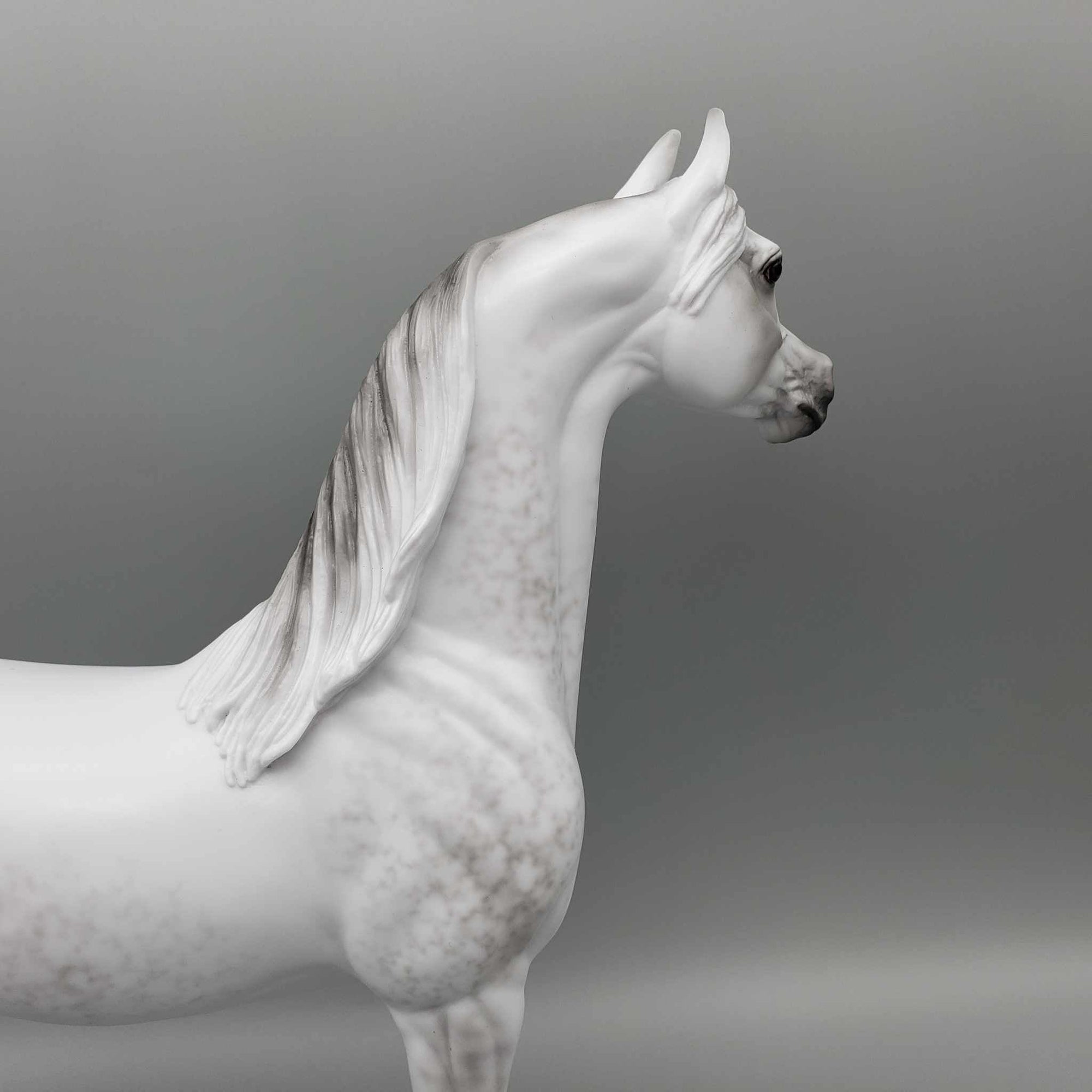 Qmar OOAK Dapple Grey Arabian By Ellen Robbins Fall Into Autumn Random Drop Sale 9/23