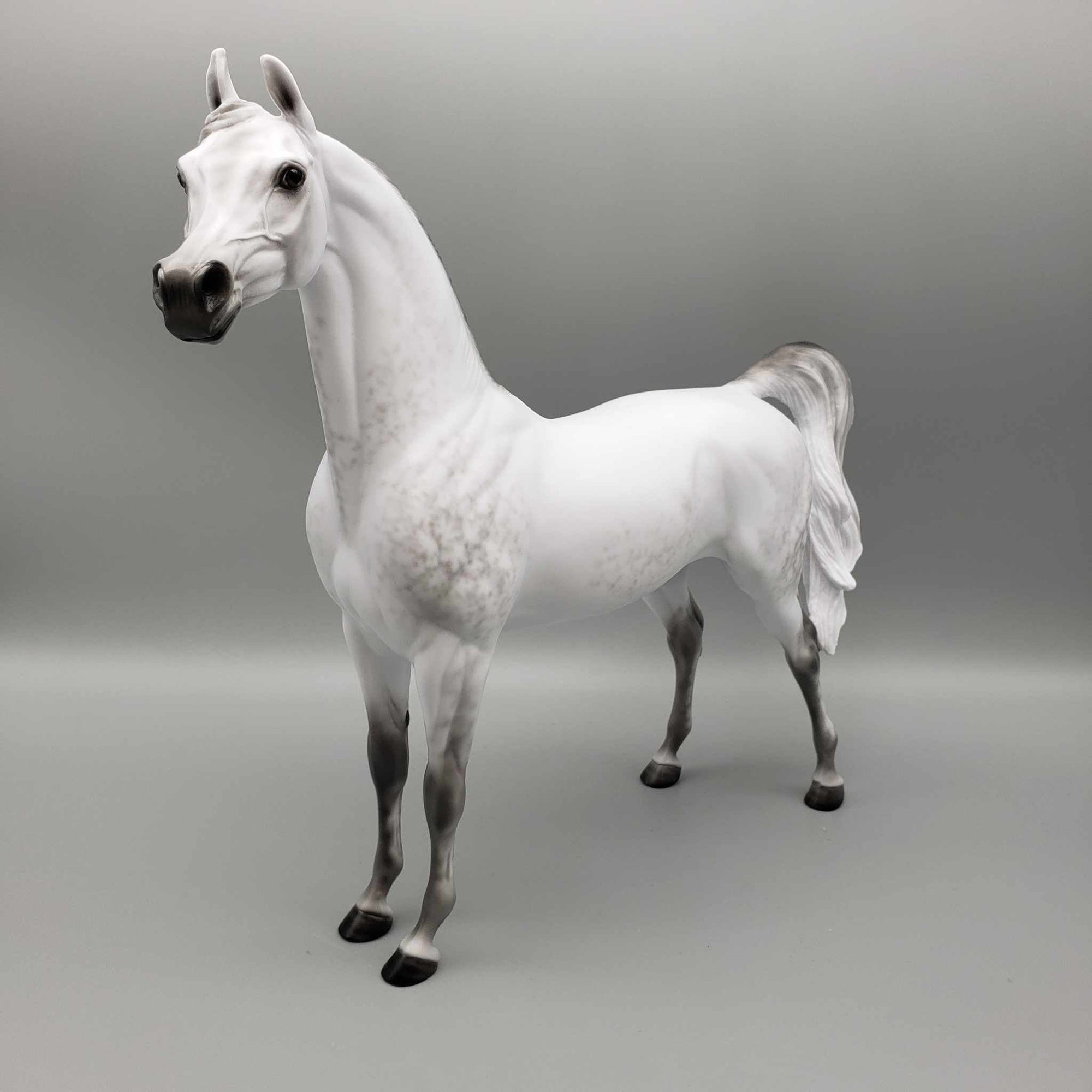 Qmar OOAK Dapple Grey Arabian By Ellen Robbins Fall Into Autumn Random Drop Sale 9/23