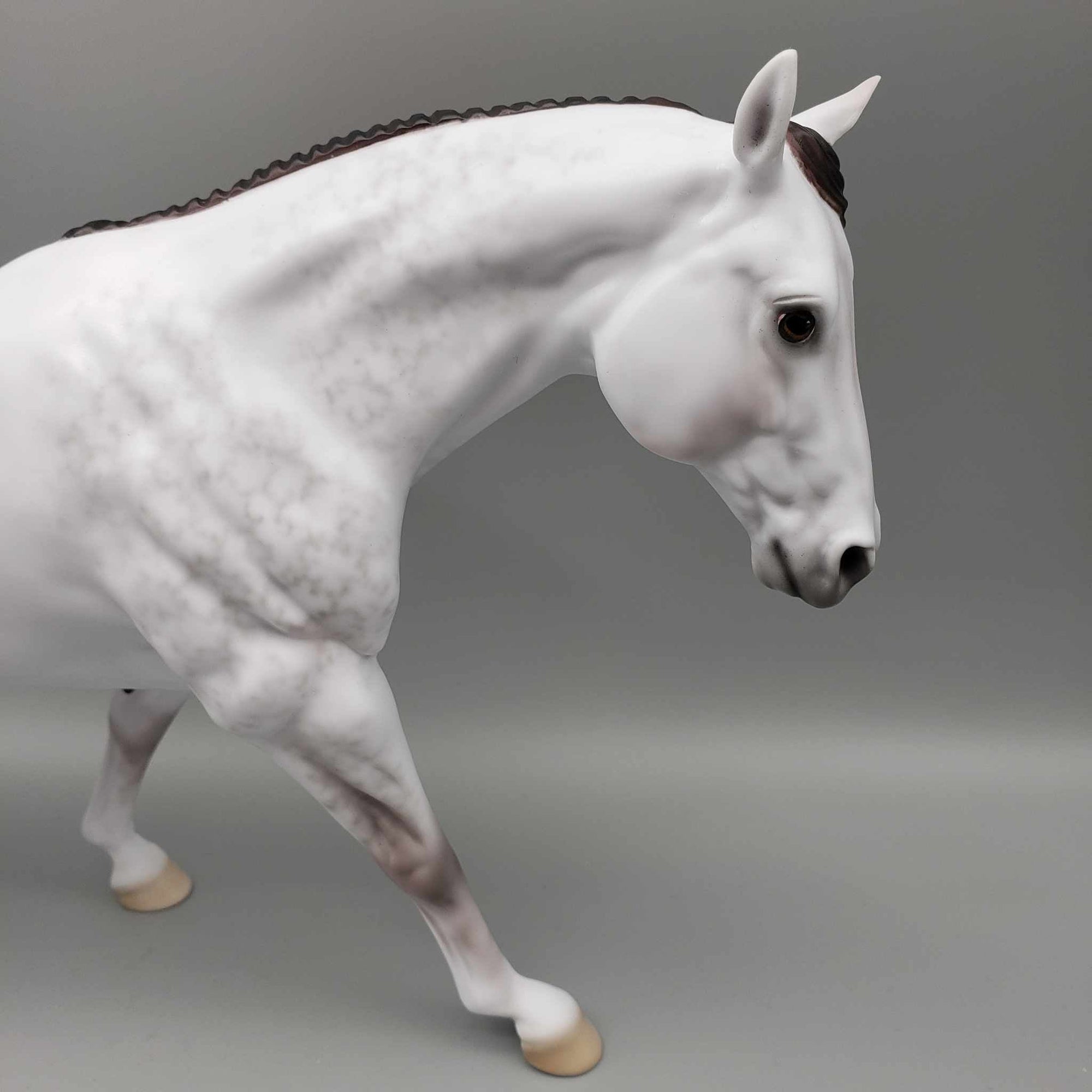 Lunar Eclipse OOAK Dapple Mulberry Grey MARE Running Stock Horse by Ellen Robbins Fall Into Autumn Random Drop Sale 9/23