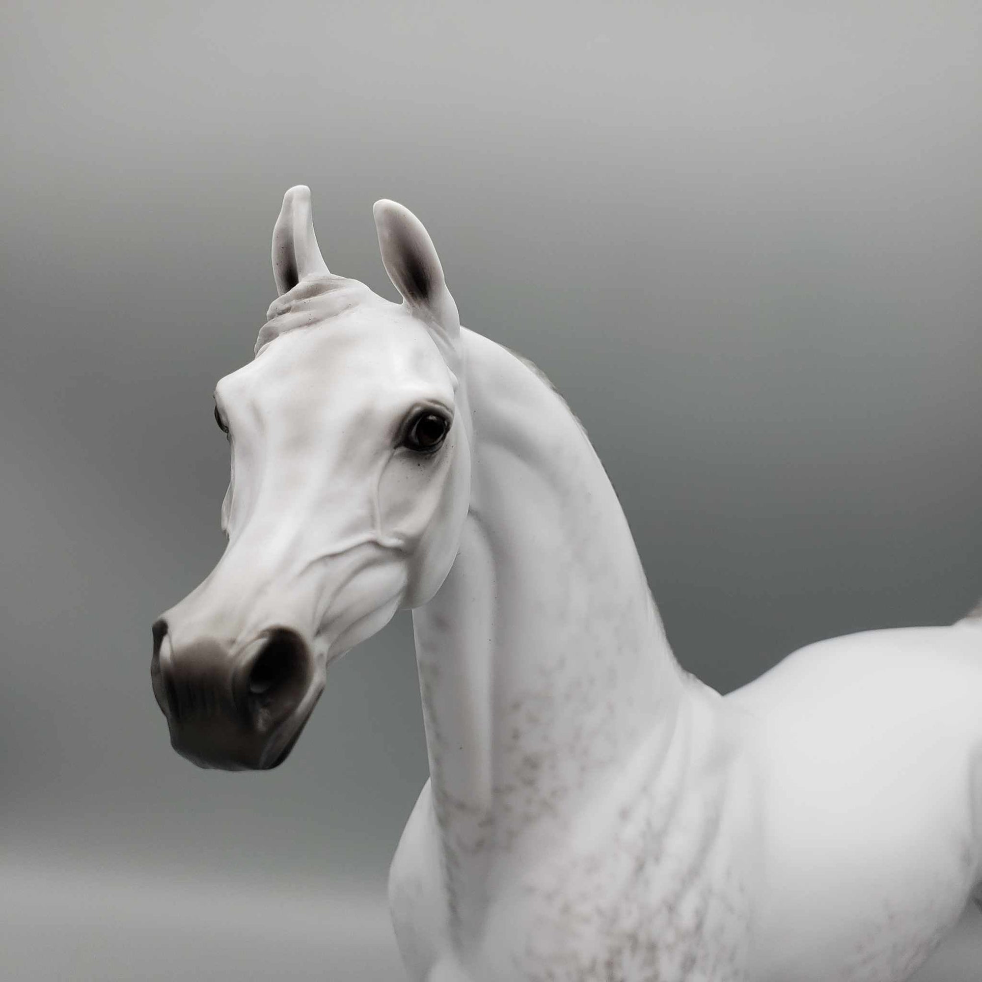 Qmar OOAK Dapple Grey Arabian By Ellen Robbins Fall Into Autumn Random Drop Sale 9/23