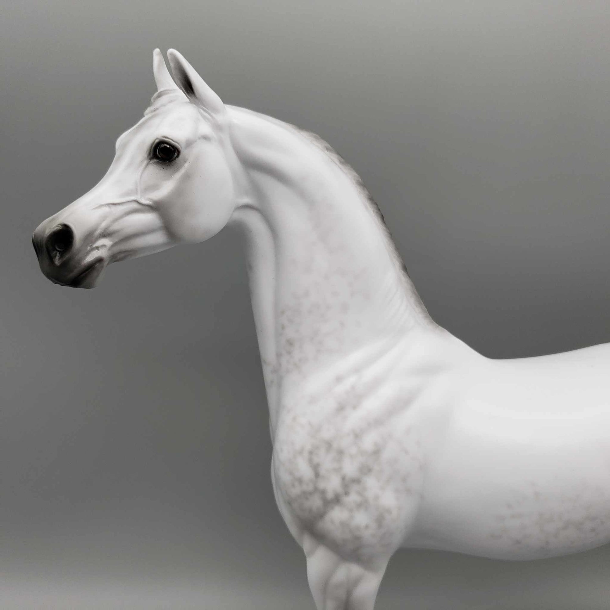 Qmar OOAK Dapple Grey Arabian By Ellen Robbins Fall Into Autumn Random Drop Sale 9/23